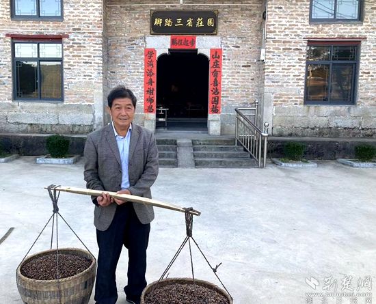 何道關(guān)與自己種的油茶果。黃錚 攝_副本.jpg.jpg