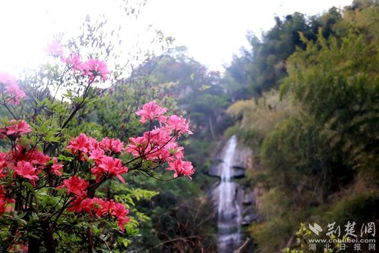 黃龍山頂，風(fēng)景如畫 黃錚 攝_副本.jpg.jpg
